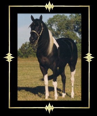 thebullet.jpg - 29.29 K